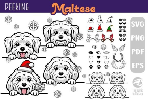 Peeking Maltese SVG for Crafts & Branding